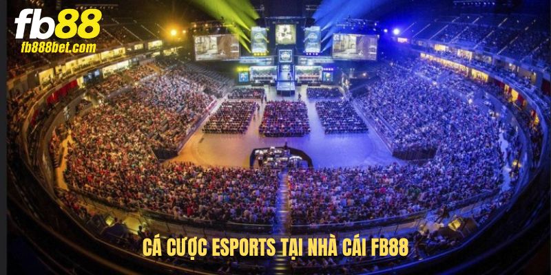 Cá cược Esports tại nhà cái FB88